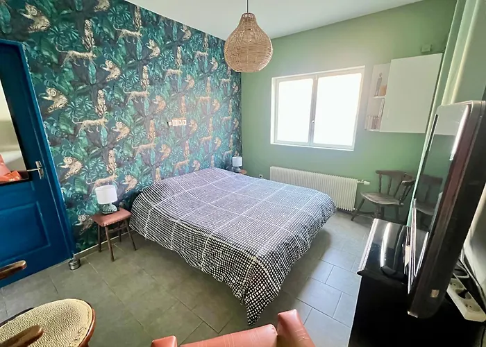 Le Vintage - Logement Entier